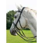 Runa Combi Sidepull Or Bitted Bridle And Reins